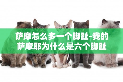 薩摩怎么多一個腳趾-我的薩摩耶為什么是六個腳趾