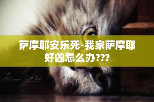 薩摩耶安樂死-我家薩摩耶好兇怎么辦???
