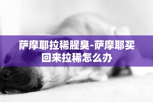 薩摩耶拉稀腥臭-薩摩耶買回來拉稀怎么辦