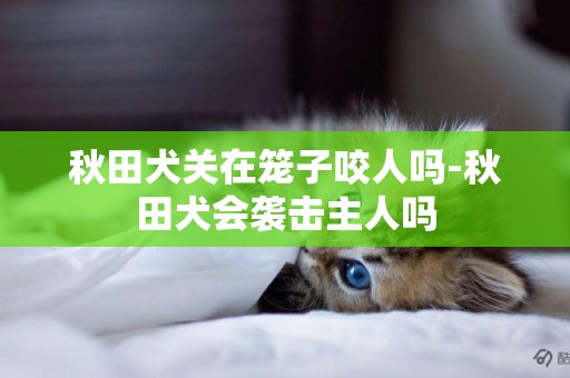 秋田犬關在籠子咬人嗎-秋田犬會襲擊主人嗎