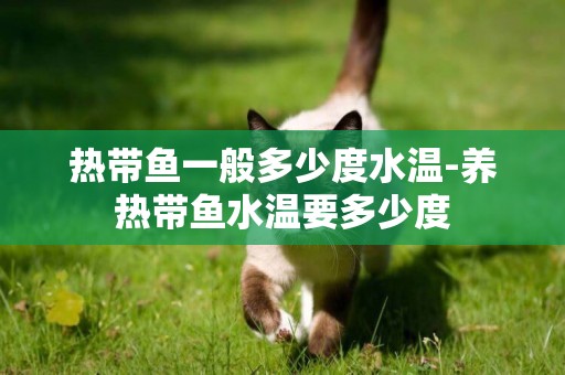 熱帶魚一般多少度水溫-養熱帶魚水溫要多少度