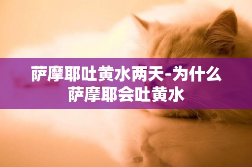 薩摩耶吐黃水兩天-為什么薩摩耶會吐黃水