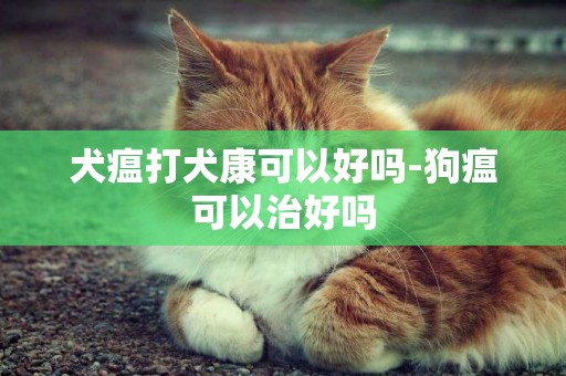 犬瘟打犬康可以好嗎-狗瘟可以治好嗎