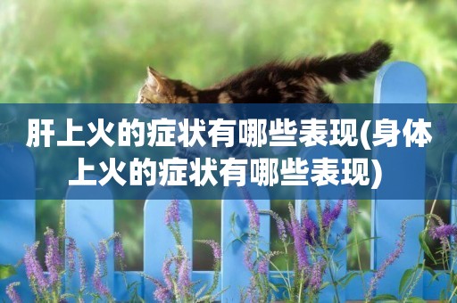 肝上火的癥狀有哪些表現(身體上火的癥狀有哪些表現) 