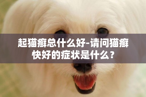 起貓癬總什么好-請問貓癬快好的癥狀是什么？