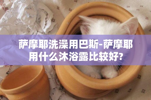 薩摩耶洗澡用巴斯-薩摩耶用什么沐浴露比較好?