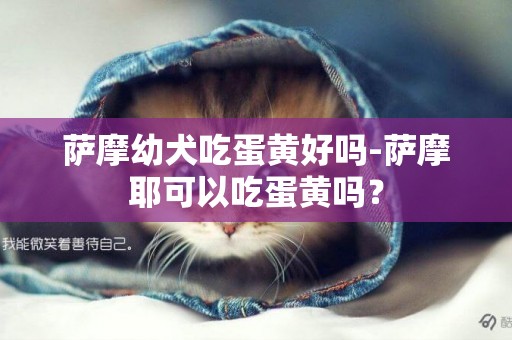 薩摩幼犬吃蛋黃好嗎-薩摩耶可以吃蛋黃嗎？