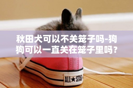 秋田犬可以不關籠子嗎-狗狗可以一直關在籠子里嗎？