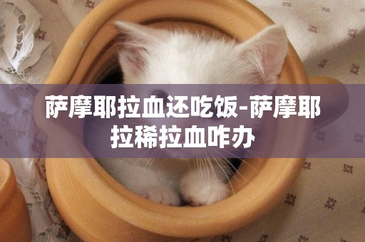 薩摩耶拉血還吃飯-薩摩耶拉稀拉血咋辦