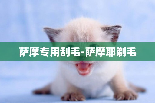 薩摩專用刮毛-薩摩耶剃毛