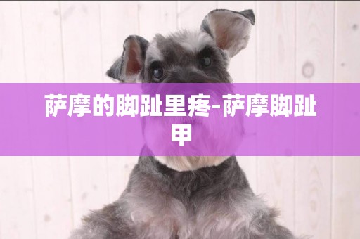 薩摩的腳趾里疼-薩摩腳趾甲