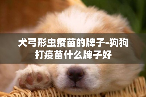 犬弓形蟲疫苗的牌子-狗狗打疫苗什么牌子好
