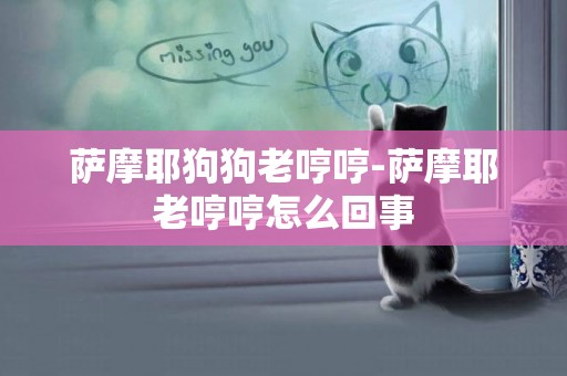 薩摩耶狗狗老哼哼-薩摩耶老哼哼怎么回事