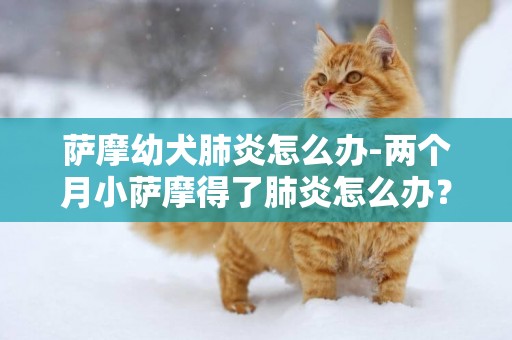薩摩幼犬肺炎怎么辦-兩個月小薩摩得了肺炎怎么辦？