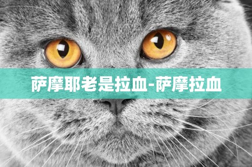 薩摩耶老是拉血-薩摩拉血