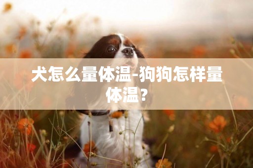 犬怎么量體溫-狗狗怎樣量體溫？