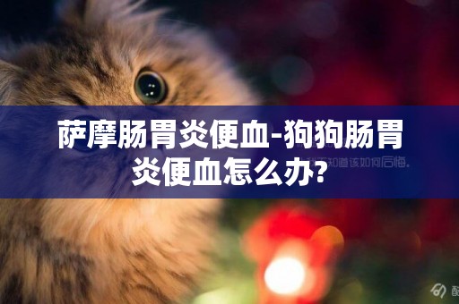 薩摩腸胃炎便血-狗狗腸胃炎便血怎么辦?