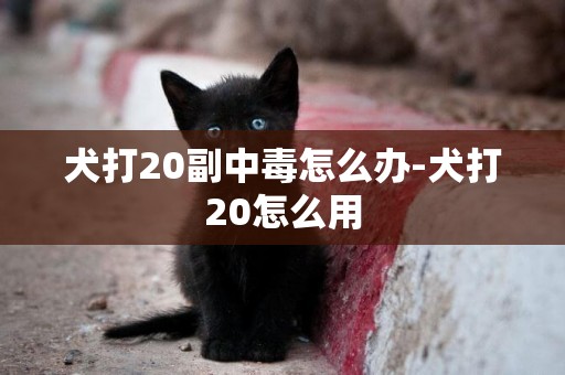 犬打20副中毒怎么辦-犬打20怎么用