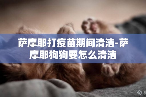 薩摩耶打疫苗期間清潔-薩摩耶狗狗要怎么清潔