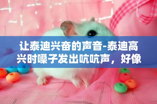 讓泰迪興奮的聲音-泰迪高興時嗓子發出吭吭聲，好像喘不過氣試的，不知道怎么回事