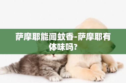 薩摩耶能聞蚊香-薩摩耶有體味嗎?
