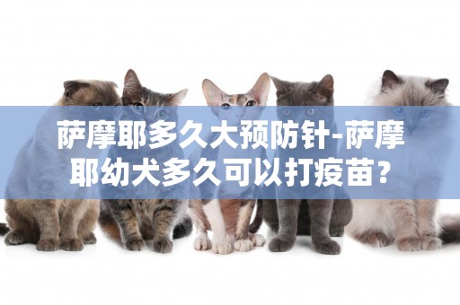 薩摩耶多久大預防針-薩摩耶幼犬多久可以打疫苗？