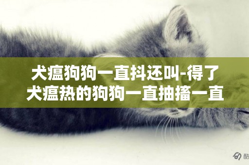 犬瘟狗狗一直抖還叫-得了犬瘟熱的狗狗一直抽搐一直叫