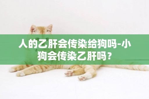人的乙肝會傳染給狗嗎-小狗會傳染乙肝嗎？