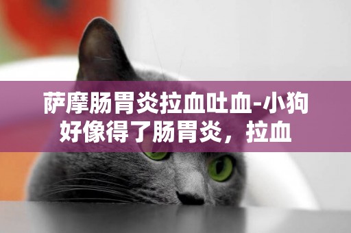 薩摩腸胃炎拉血吐血-小狗好像得了腸胃炎，拉血
