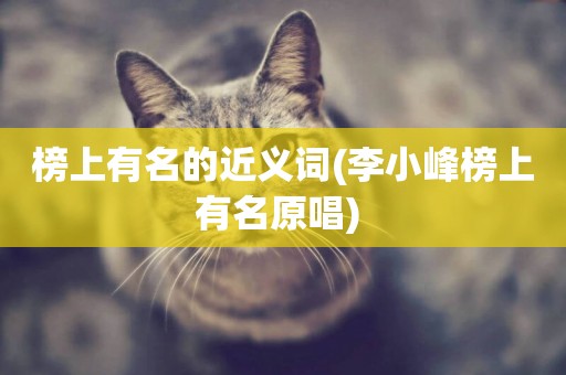 榜上有名的近義詞(李小峰榜上有名原唱) 