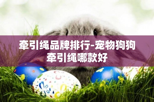 牽引繩品牌排行-寵物狗狗牽引繩哪款好