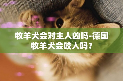 牧羊犬會對主人兇嗎-德國牧羊犬會咬人嗎？