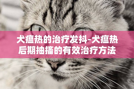犬瘟熱的治療發抖-犬瘟熱后期抽搐的有效治療方法