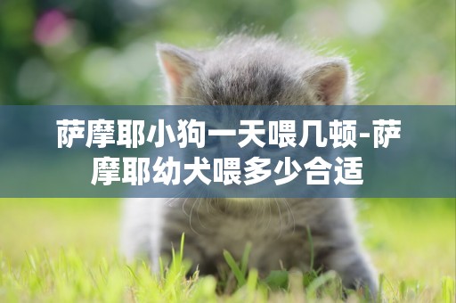 薩摩耶小狗一天喂幾頓-薩摩耶幼犬喂多少合適