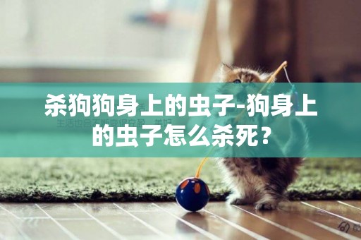 殺狗狗身上的蟲子-狗身上的蟲子怎么殺死？