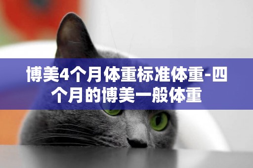 博美4個月體重標準體重-四個月的博美一般體重
