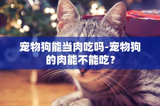 寵物狗能當肉吃嗎-寵物狗的肉能不能吃？