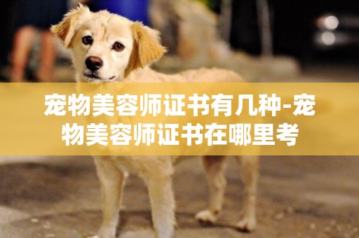 寵物美容師證書有幾種-寵物美容師證書在哪里考