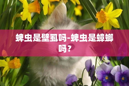 蜱蟲是壁虱嗎-蜱蟲是蟑螂嗎？