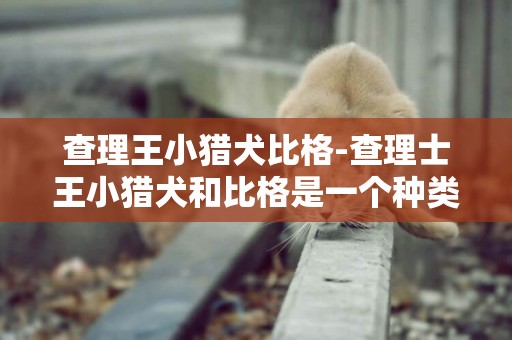 查理王小獵犬比格-查理士王小獵犬和比格是一個種類嗎？