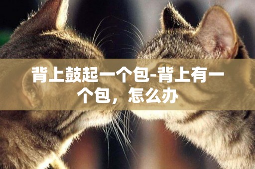 背上鼓起一個包-背上有一個包，怎么辦