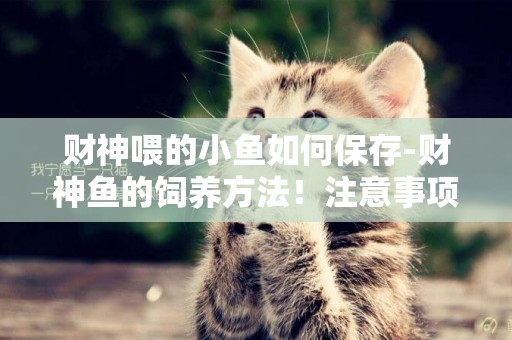 財神喂的小魚如何保存-財神魚的飼養方法！注意事項！