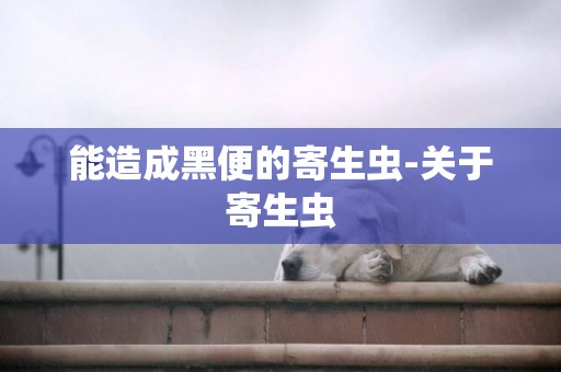 能造成黑便的寄生蟲-關于寄生蟲