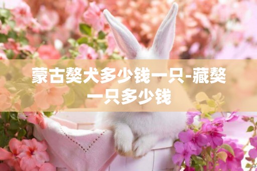 蒙古獒犬多少錢一只-藏獒一只多少錢