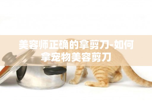 美容師正確的拿剪刀-如何拿寵物美容剪刀