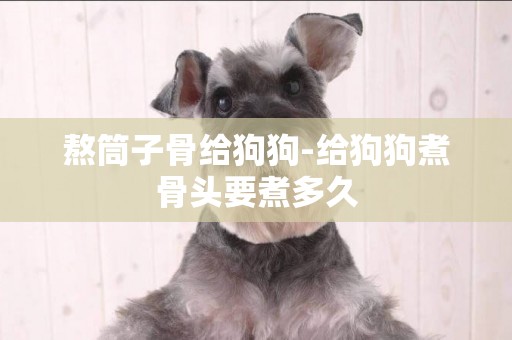 熬筒子骨給狗狗-給狗狗煮骨頭要煮多久
