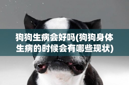 狗狗生病會好嗎(狗狗身體生病的時候會有哪些現狀) 