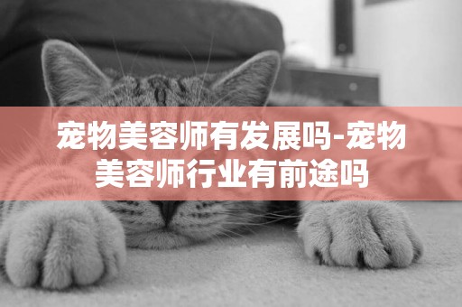 寵物美容師有發展嗎-寵物美容師行業有前途嗎