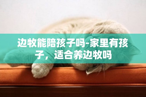 邊牧能陪孩子嗎-家里有孩子，適合養邊牧嗎