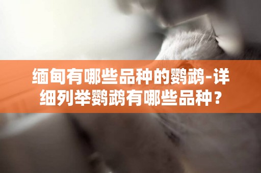 緬甸有哪些品種的鸚鵡-詳細列舉鸚鵡有哪些品種？